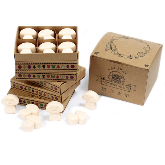 Coffret de 6 fondants à la cire de soja - Noix de muscade et vanille