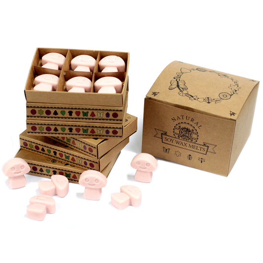 Coffret de 6 cires de soja - Gingembre