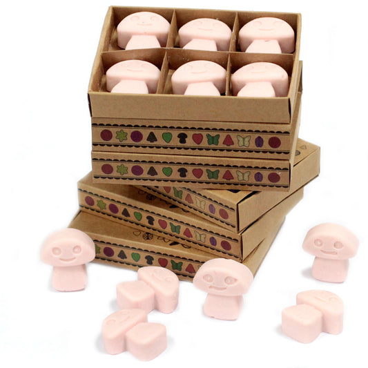 Coffret de 6 fondants à la cire de soja - Bois de santal