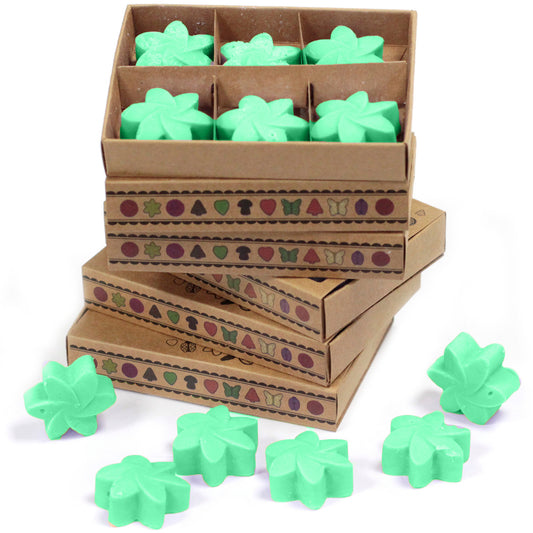 Coffret de 6 crayons à la cire de soja - Hidden Garden