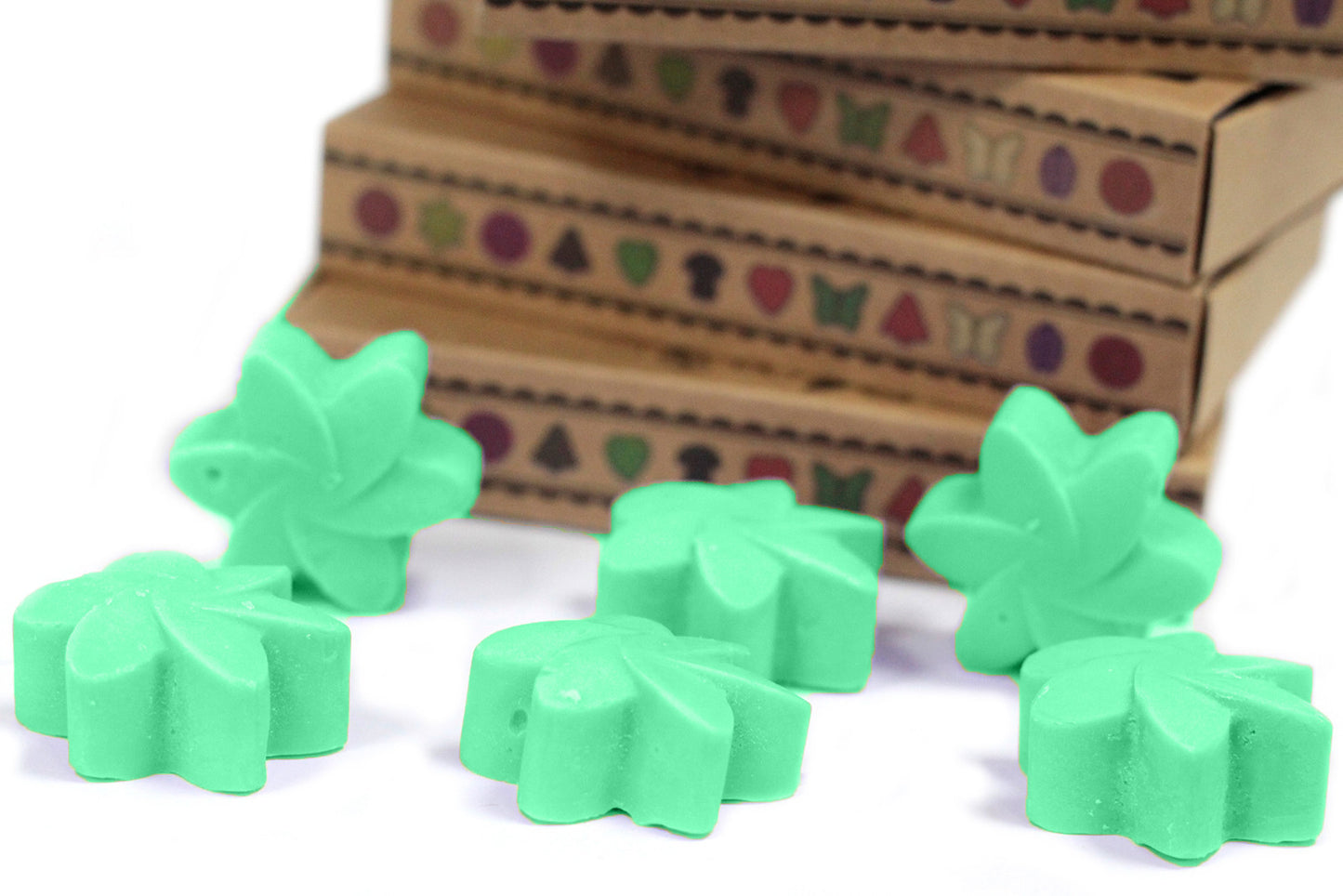 Coffret de 6 crayons à la cire de soja - Hidden Garden