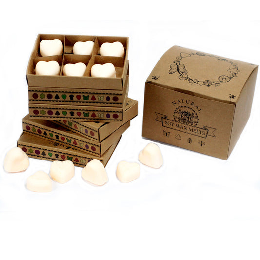 Coffret de 6 fondants à la cire de soja - Cannelle et orange