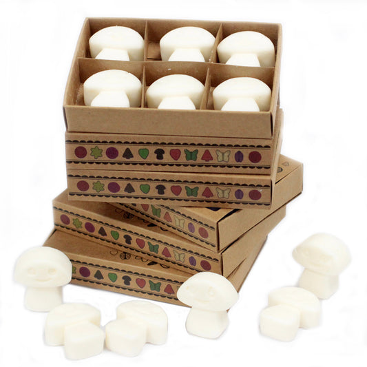 Coffret de 6 fondants à la cire de soja - Musc blanc