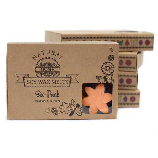 Coffret de 6 cires de soja - Tubéreuse