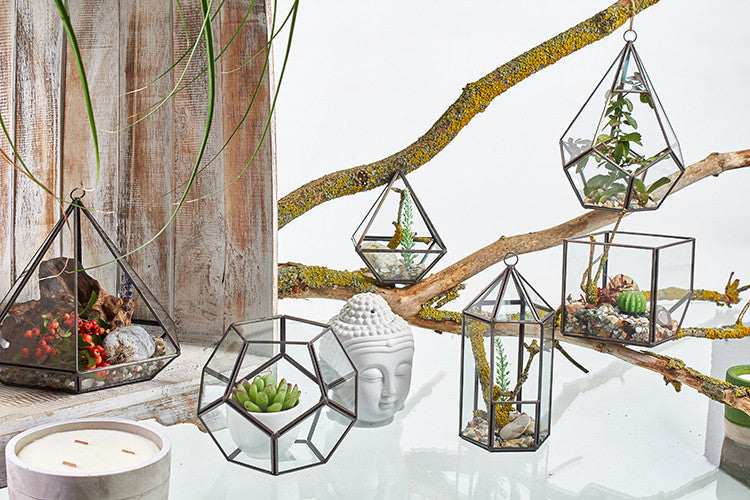Terrarium en verre - Grand octogone