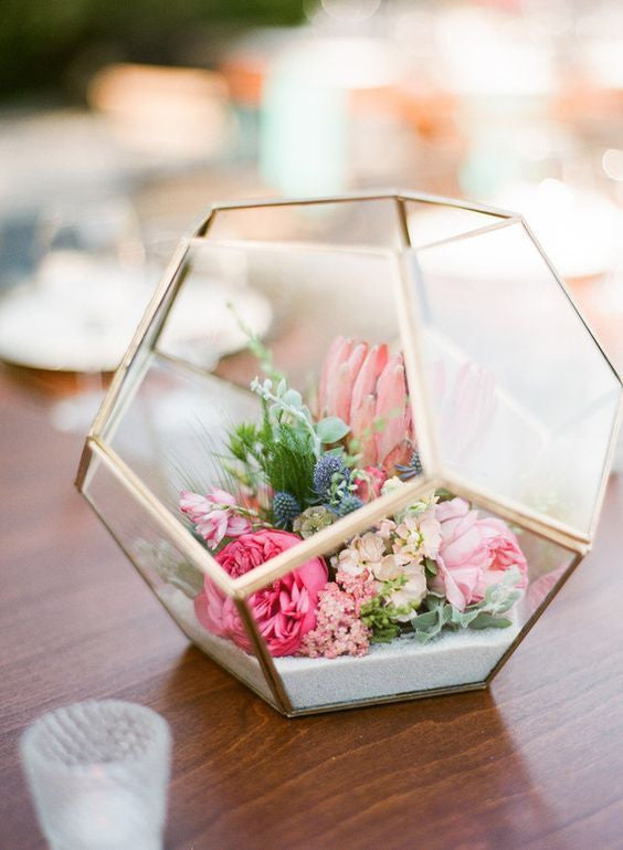 Terrarium en verre - Grand Diamant