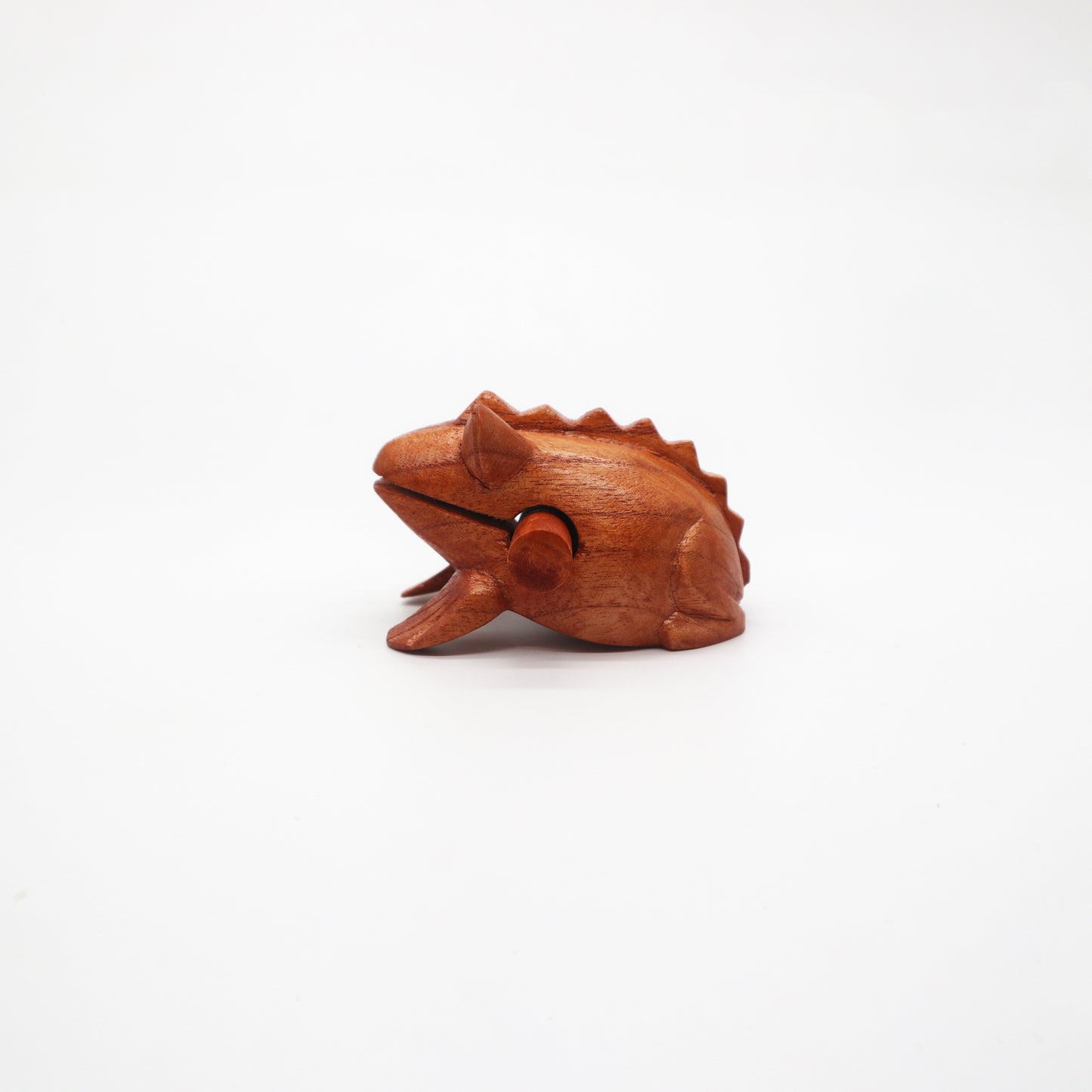 Grande grenouille des bois croquante