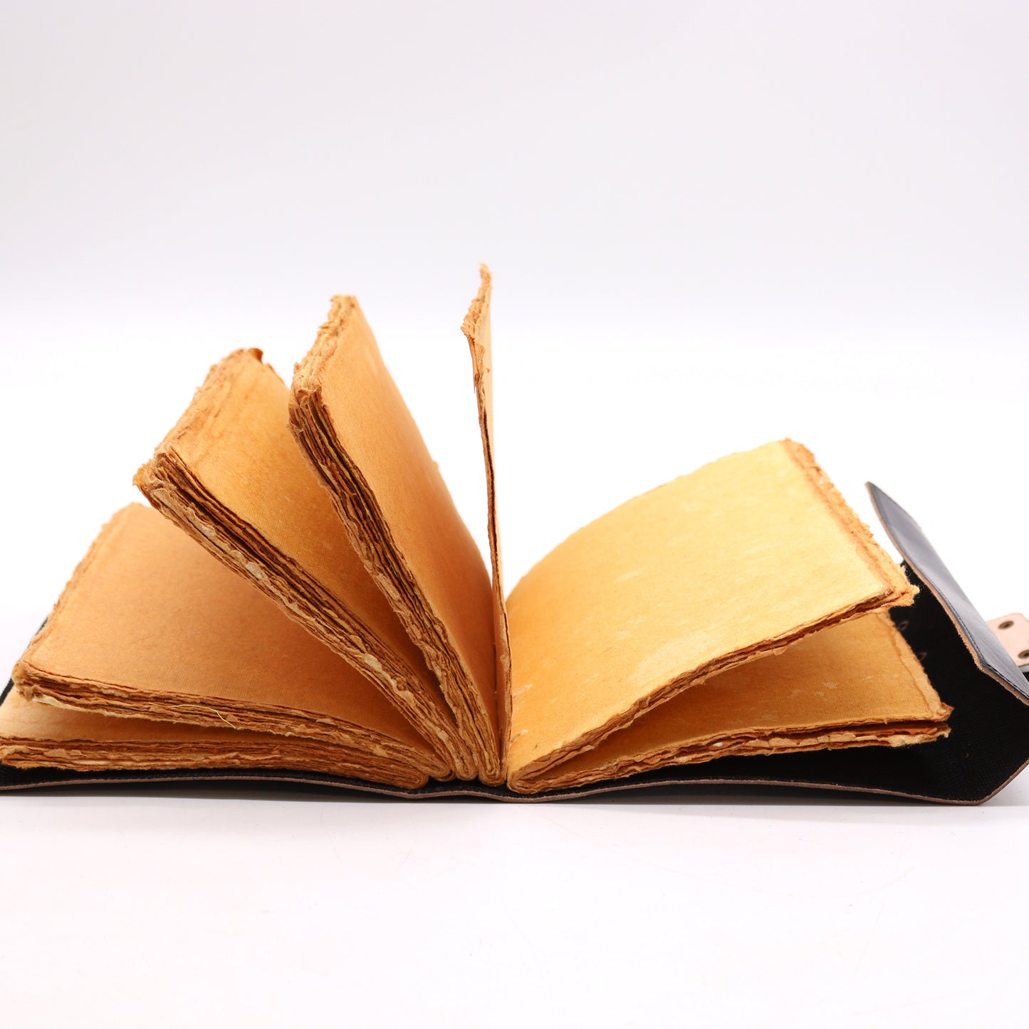 Livre des Ombres