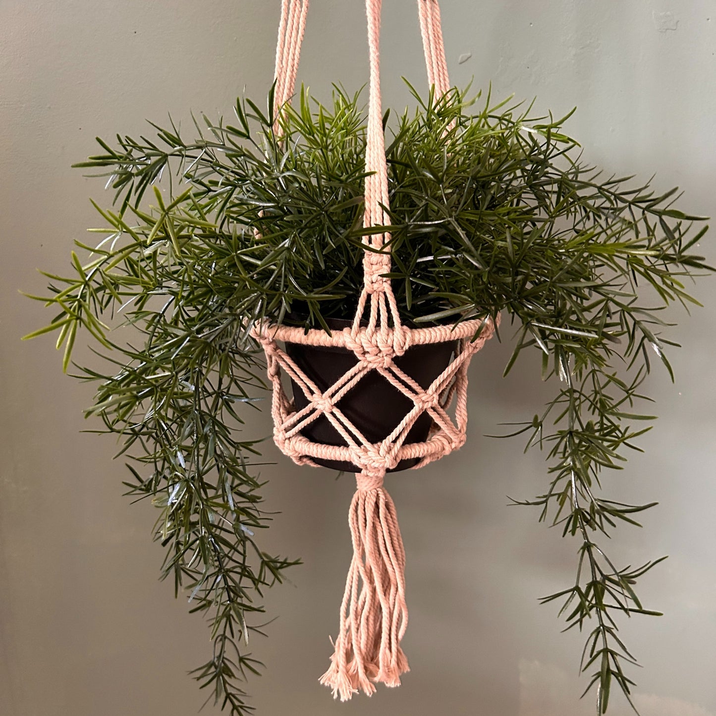 Petite jardinière en macramé - Beige - Anneau de 16 cm