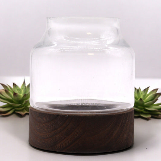 Petit Terarium en bois de tung foncé - 12x13cm