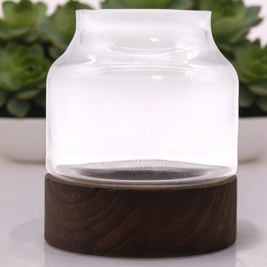 Terrarium moyen en bois de tung foncé - 16x18cm