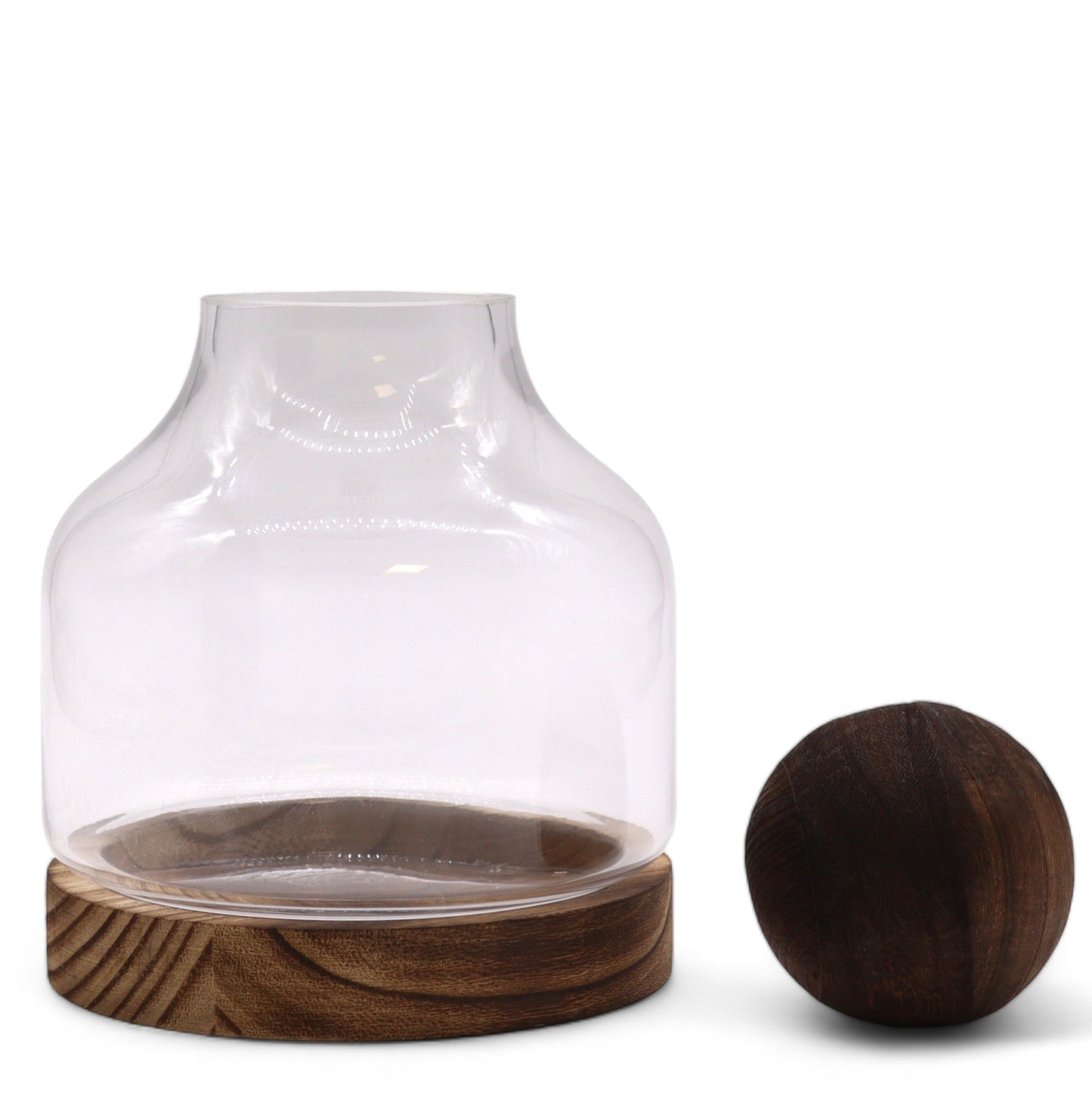 Terrarium moyen en bois de tung foncé avec couvercle sphérique - 17 x 22 cm