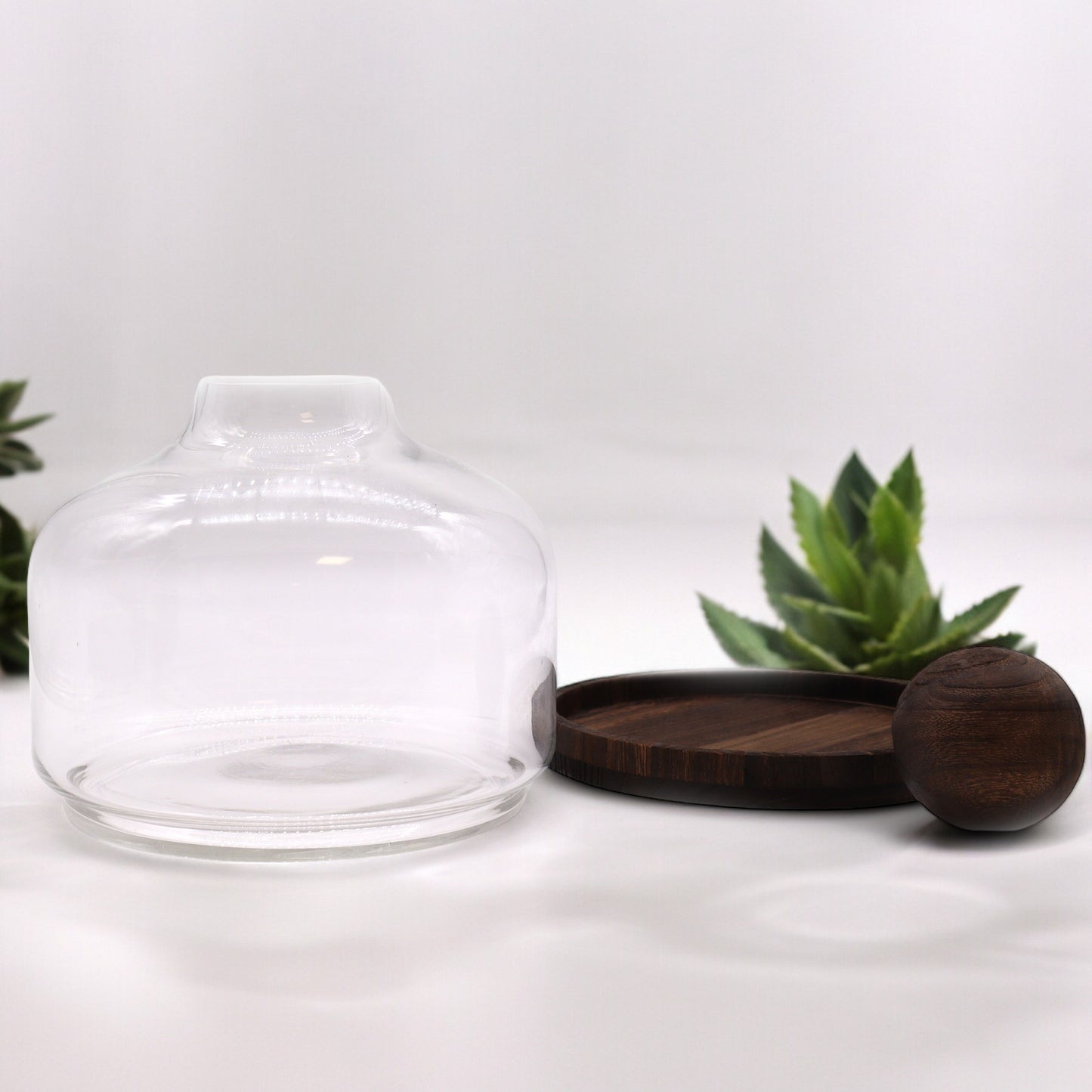 Terrarium extra large en bois de tung foncé avec couvercle sphérique - 23 x 23 cm
