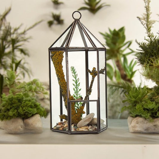 Terrarium en verre - Lanterne