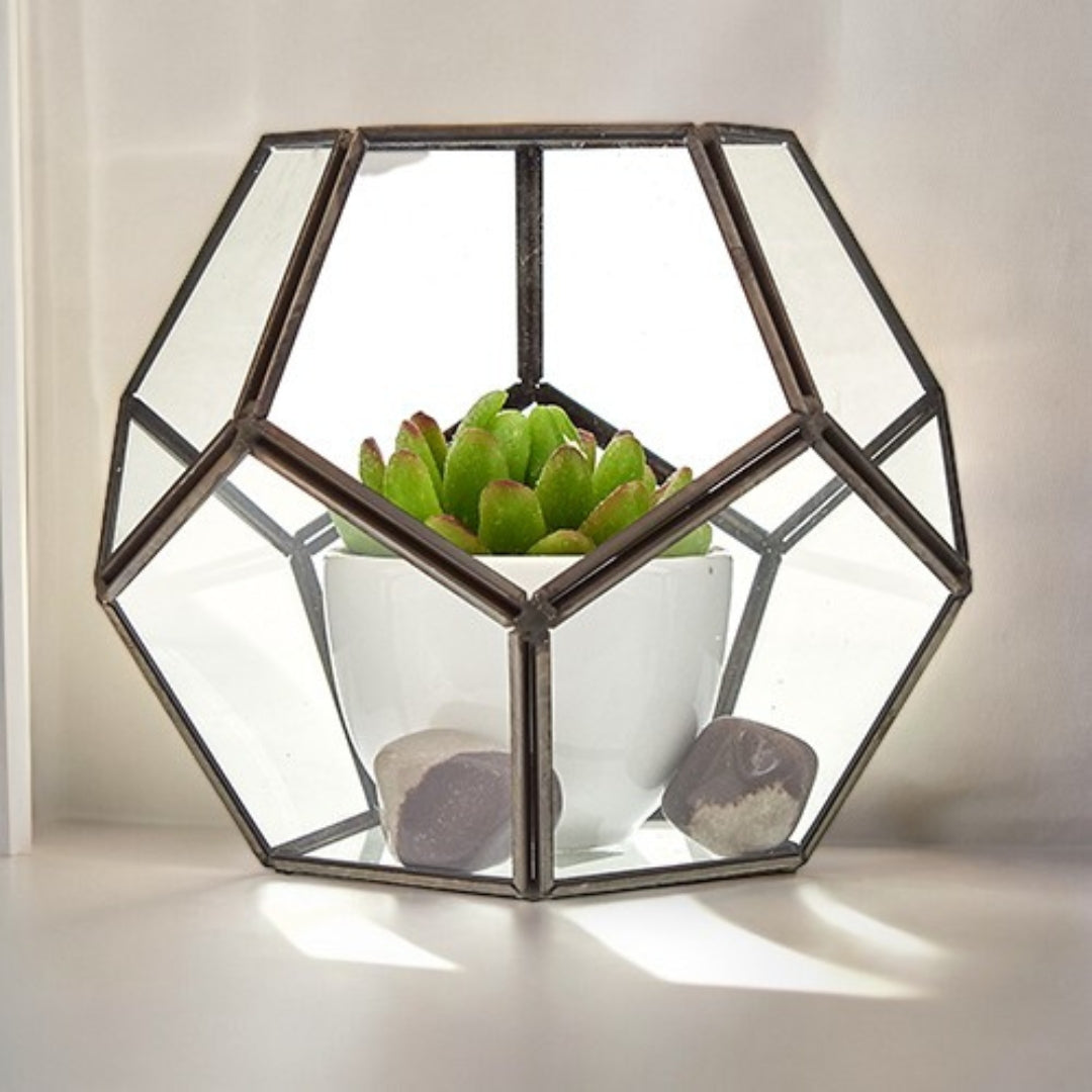 Terrarium en verre - Grand octogone