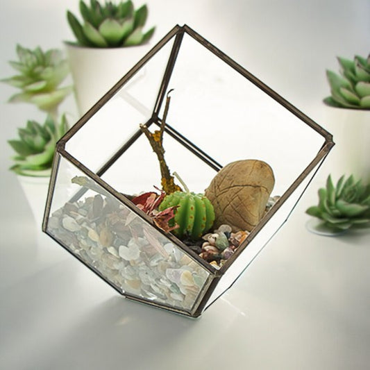 Terrarium en verre - Cube d'angle