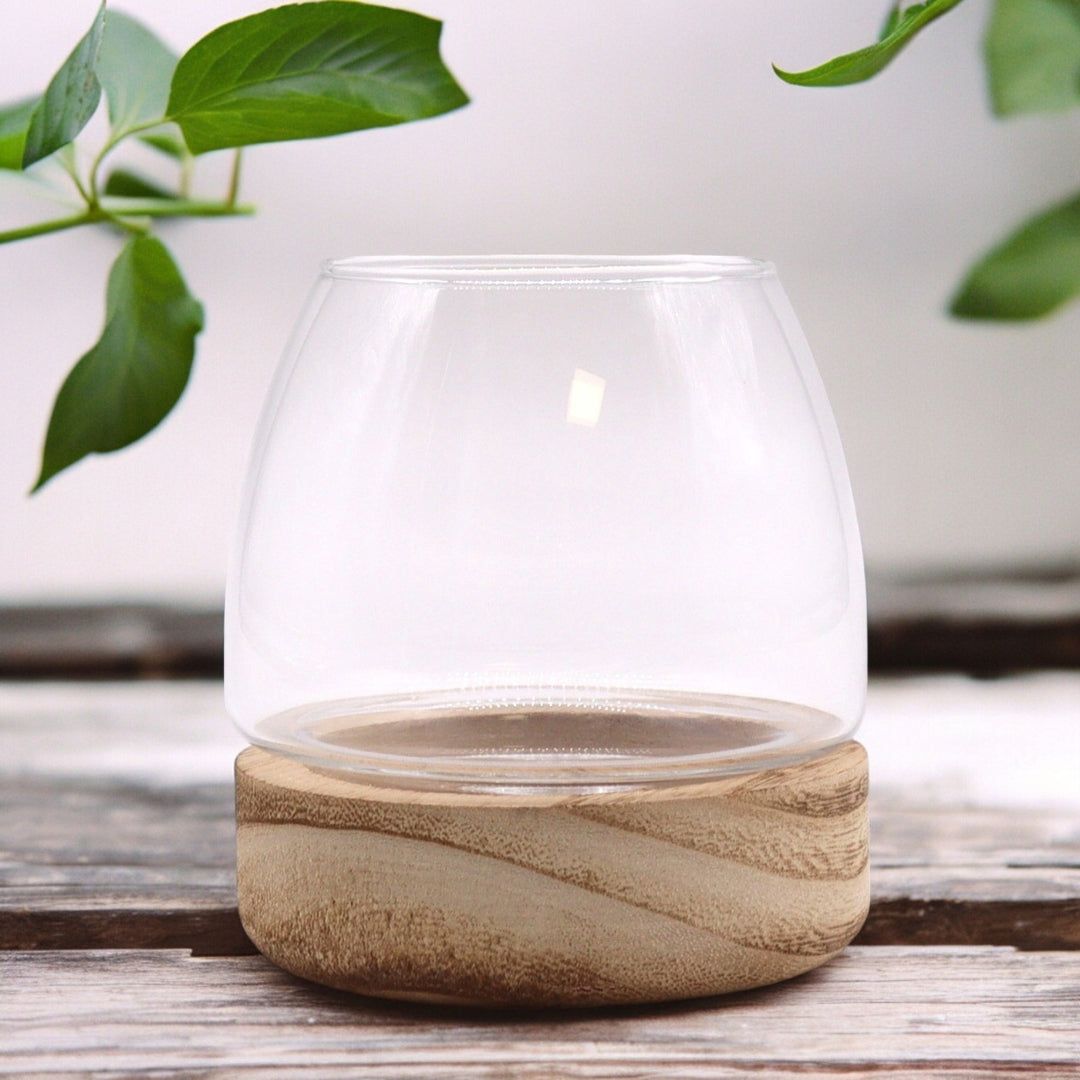 Petit Terrarium en Bois de Tung Naturel - 10x10cm