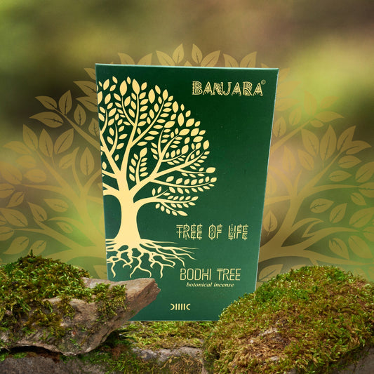 Encens botanique Banjara - Arbre Bodhi