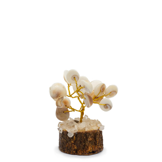 12 x Pequeño Gomati Chakra Árboles de Piedra Círculo con Rudraksha - (15 piedras)