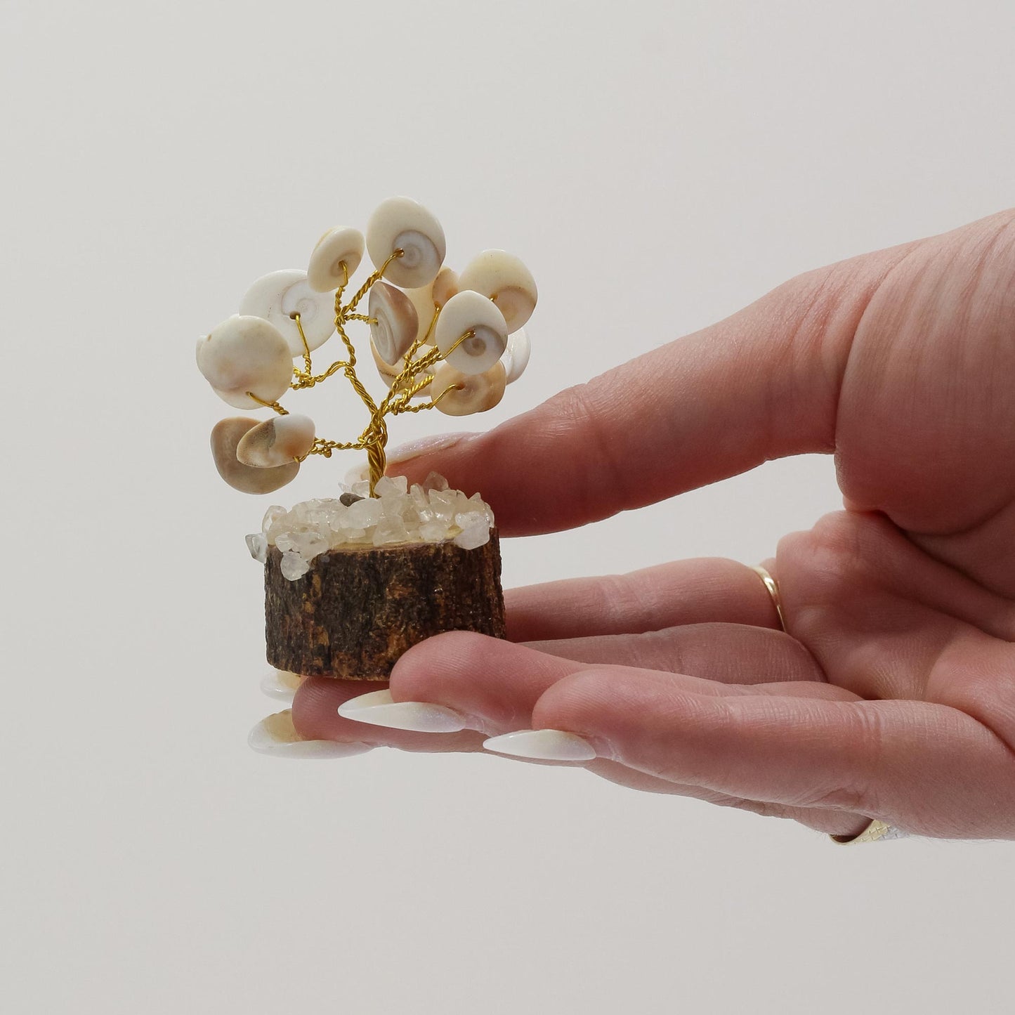 12 x Petits Cercles d'Arbres en Pierres Chakra Gomati avec Rudraksha - (15 pierres)