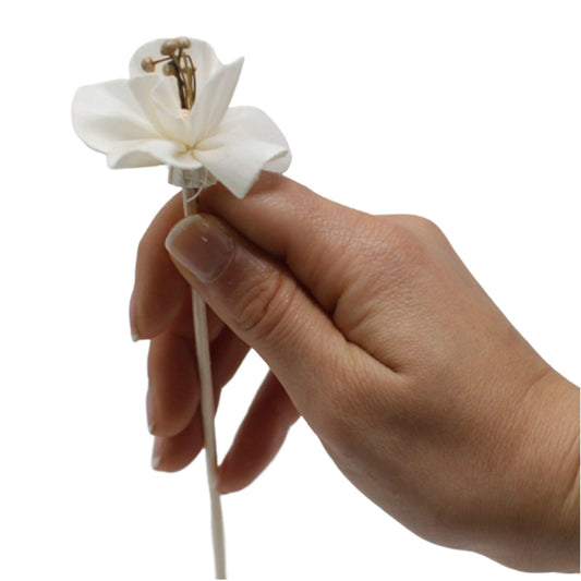 Diffuseur de fleurs naturelles - Lys en roseau