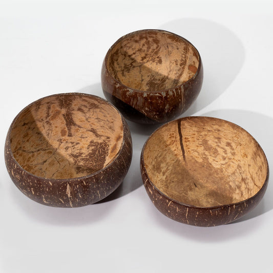 Pequeño tazón de coco natural