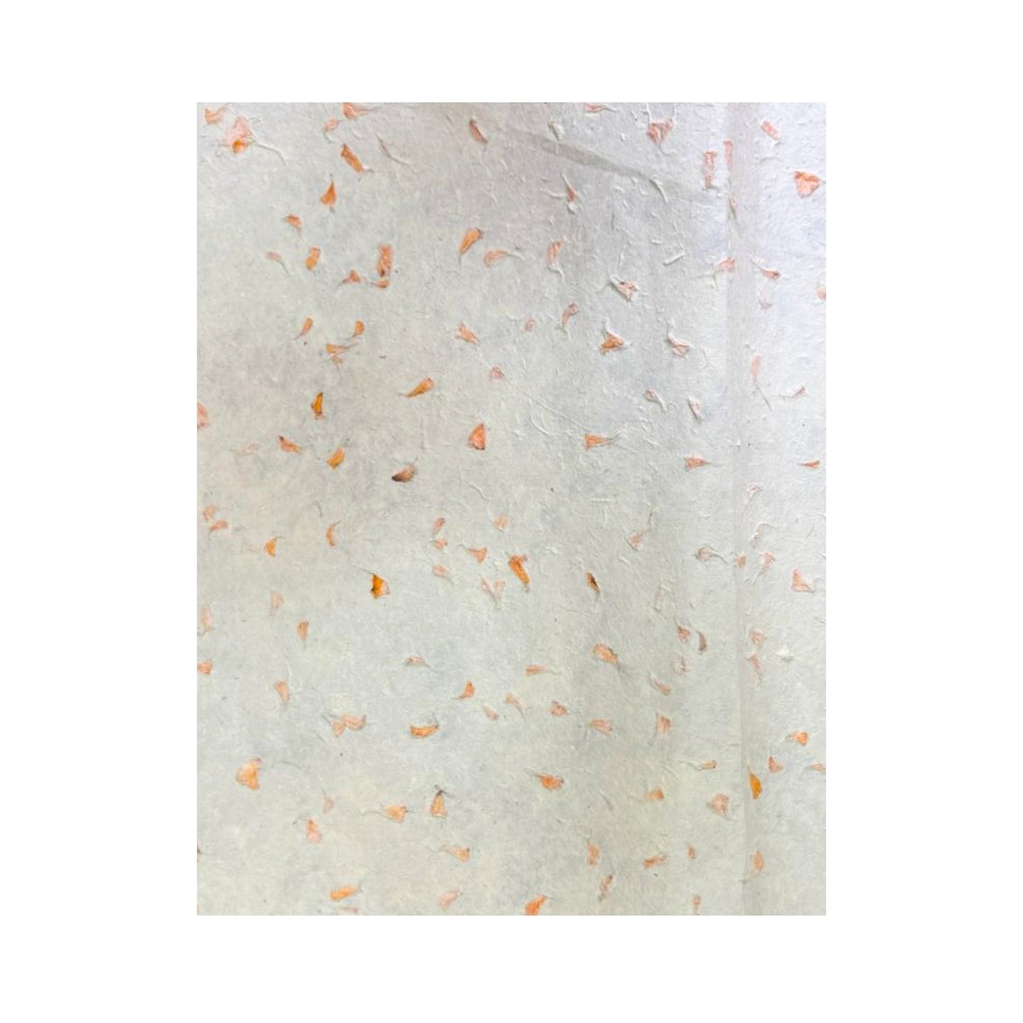 Papier cadeau fait main Lokta - Calendula