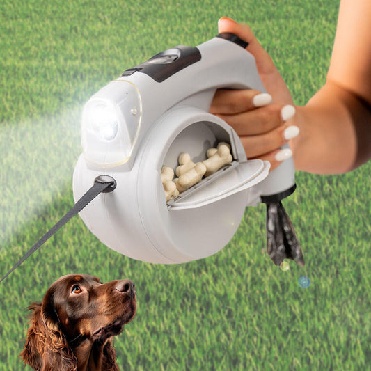 Laisse rétractable pour chien InnovaGoods 6 en 1